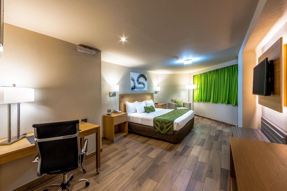 Hotel La Joya Pachuca Extérieur photo A typical hotel room